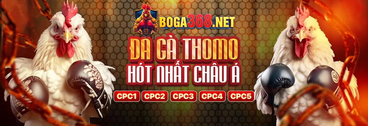 Hình ảnh đá gà trực tuyến đầy kịch tính tại Hipclub